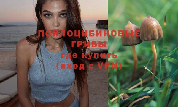 дмт Балабаново